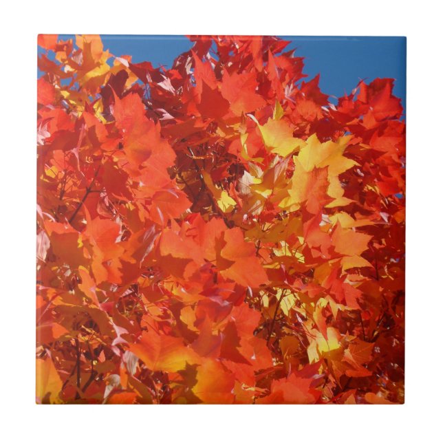 Blätter Herbst Tiles Art Orange Herbst Baum Fliese (Vorderseite)