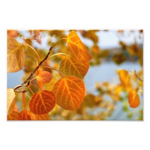 Blätter in Orange Fotodruck