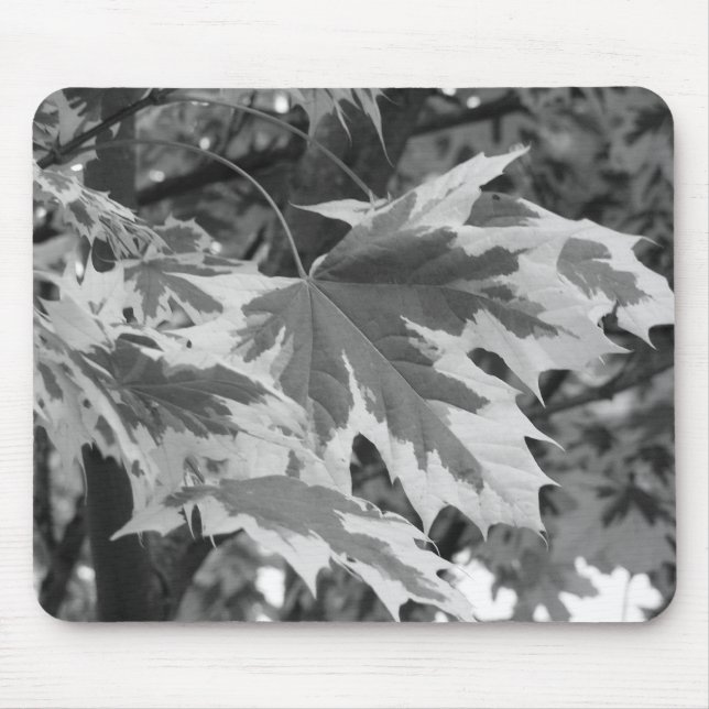 Blätter in Schwarz und Weiß Mousepad (Vorne)