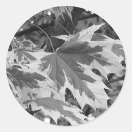 Blätter in Schwarz und Weiß Runder Aufkleber
