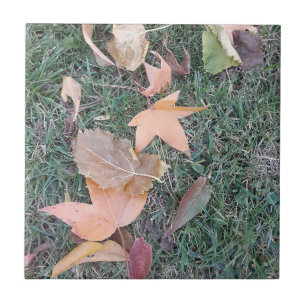 Blätter Keramik Tile Fliese