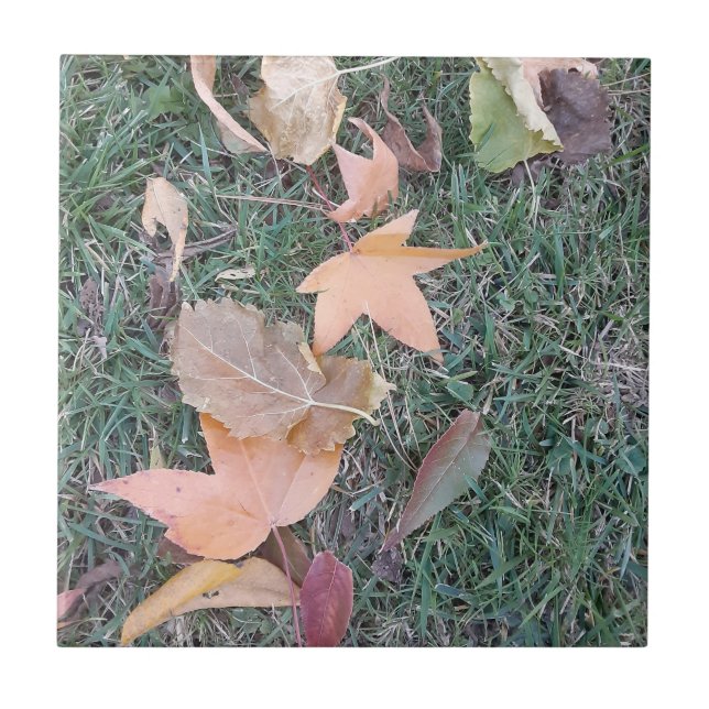 Blätter Keramik Tile Fliese (Vorderseite)