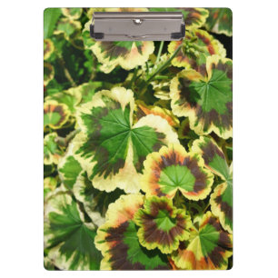 Blätter Klemmbrett