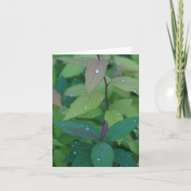 Blätter mit Dew Karte (Vorderseite)