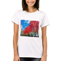 Blätter mit hellen Roten Bäumen im Herbst