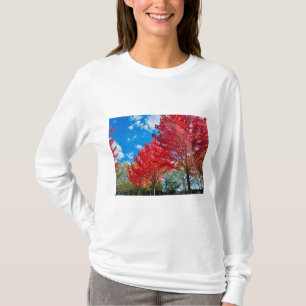 Blätter mit hellen Roten Bäumen im Herbst T-Shirt
