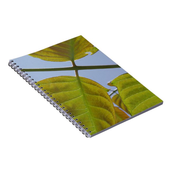 Blätter-Notebook Notizblock (Rechte Seite)