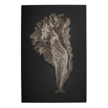 Blätter Nr. 8 Farbversion