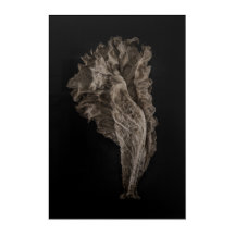 Blätter Nr. 8 Farbversion