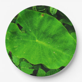 Blätter Pappteller