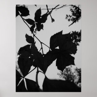 Blätter Poster