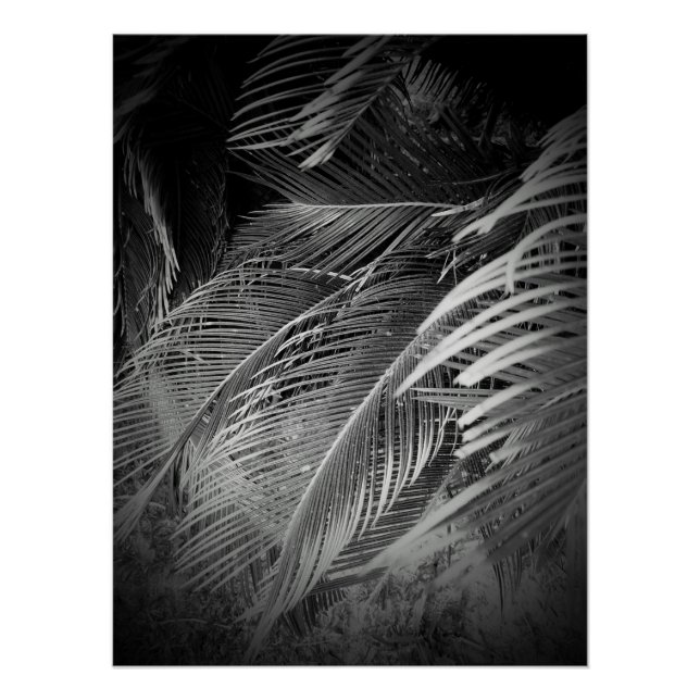 Blätter Poster (Vorderseite)