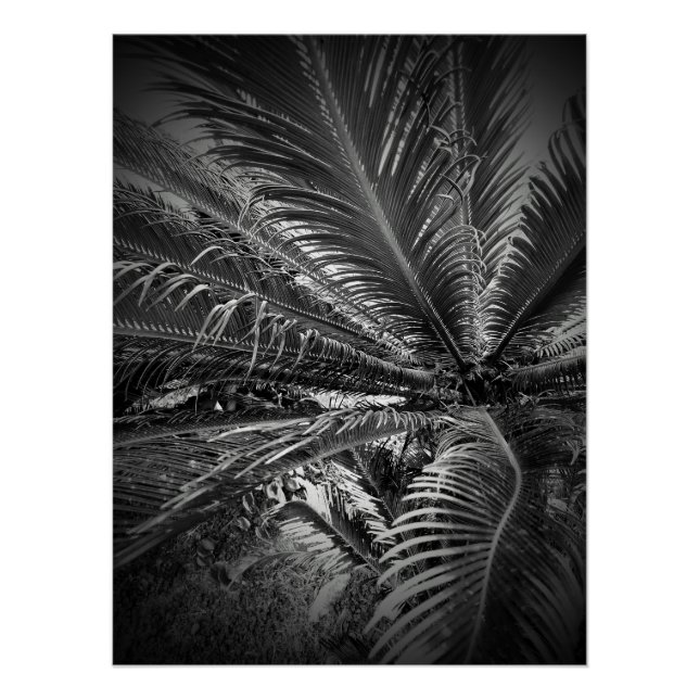 Blätter Poster (Vorderseite)