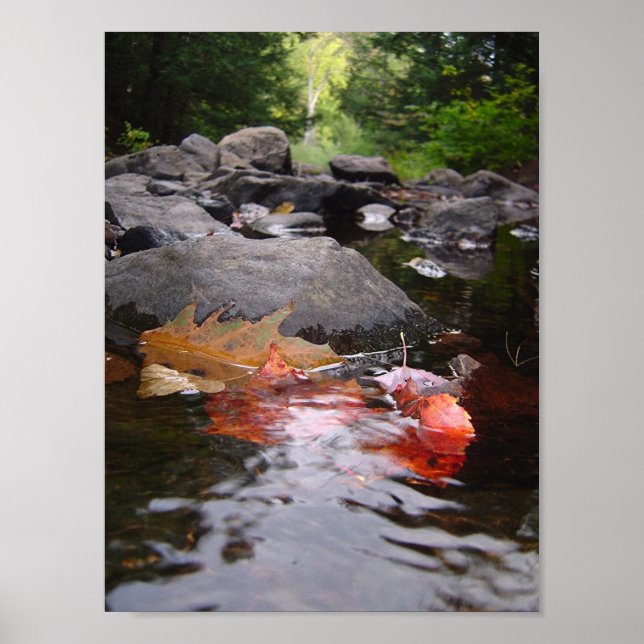 Blätter Poster (Vorne)