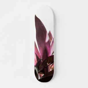 Blätter Skateboard
