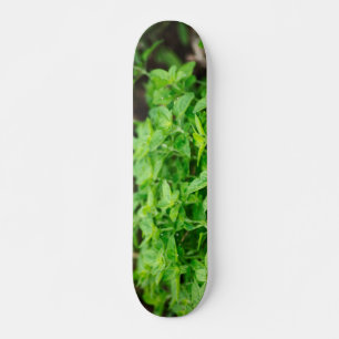 Blätter Skateeboard Skateboard