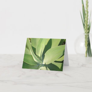 Blätter u. Schatten v2 Karte