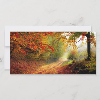 Blätter und Bäume im Herbst, die die schmutzige St