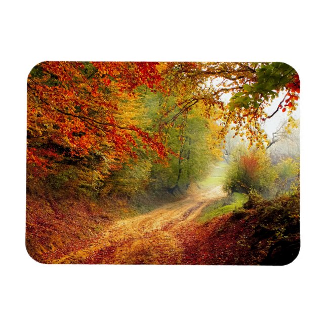 Blätter und Bäume im Herbst, die die schmutzige St Magnet (Horizontal)