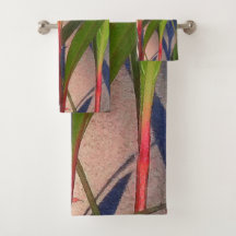 Blätter und Schatten