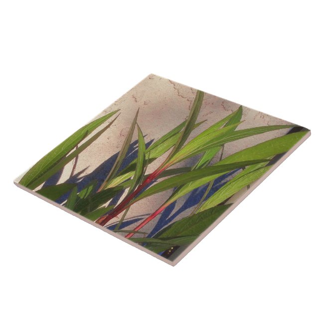 Blätter und Schatten Fliese (Seite)