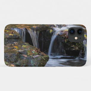Blätter und Wasserfälle iPhone Case