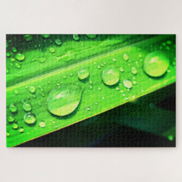Blätter und Wassertropfen Puzzle