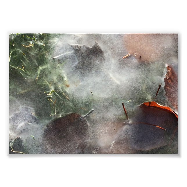 Blätter unter Eis Fotodruck (Vorne)