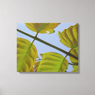 Blätter Wanddekoration Canvas drucken Leinwanddruck