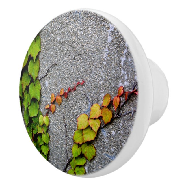 Blätter zur Herbstfarbe Keramikknauf (Rechts)