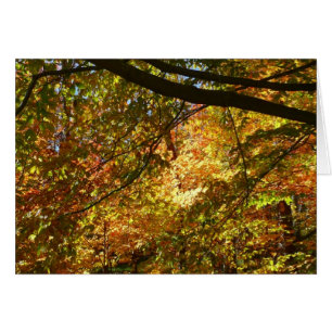 Blätterdach des Herbstes I Gelbe Herbstnatur