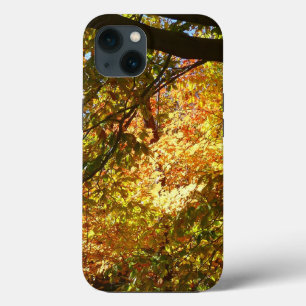 Blätterdach des Herbstes I Gelbe Herbstnatur Case-Mate iPhone Hülle