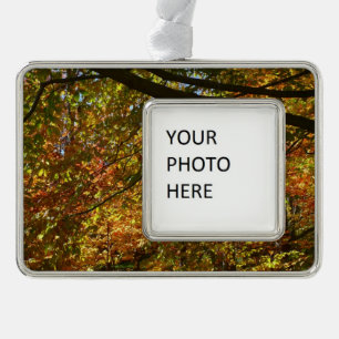 Blätterdach des Herbstes I Gelbe Herbstnatur Rahmen-Ornament Silber