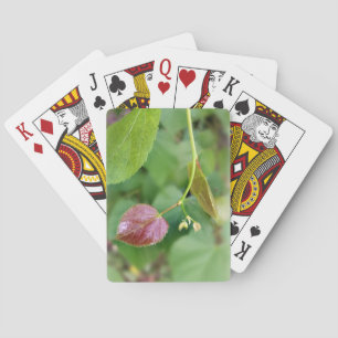 Blattfeder Spielkarten