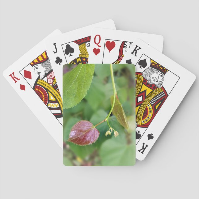Blattfeder Spielkarten (Rückseite)