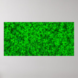 Blattklee grüne Kleeblatt-Feder Poster