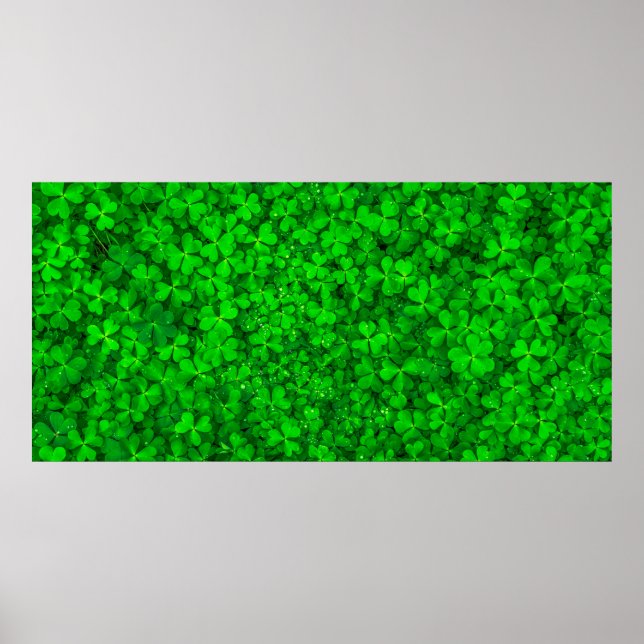 Blattklee grüne Kleeblatt-Feder Poster (Vorne)