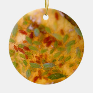 Blattlaus-Plage Keramik Ornament