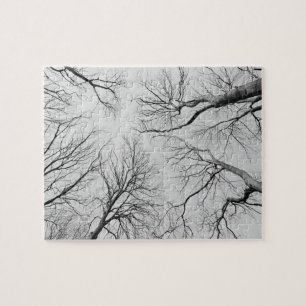 Blattlose Bäume in Thiepval Holz Puzzle