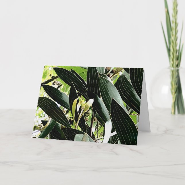 Blattmuster Feiertagskarte (Vorderseite)