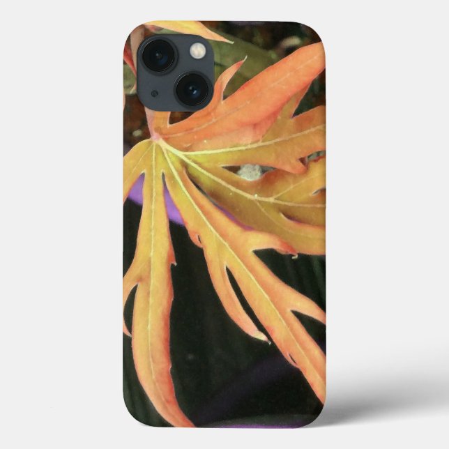 Blattstudie 2 Case-Mate iPhone hülle (Rückseite)