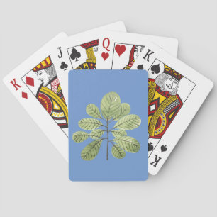 Blattzweig Laub Pflanze Flora Spielkarten