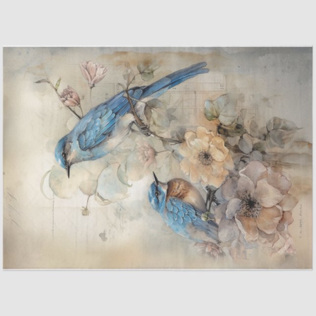 Blau 2 seidenpapier (Vorderseite)