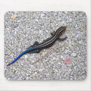 Blau angebundenes Skink mousepad