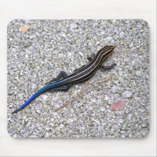 Blau angebundenes Skink mousepad
