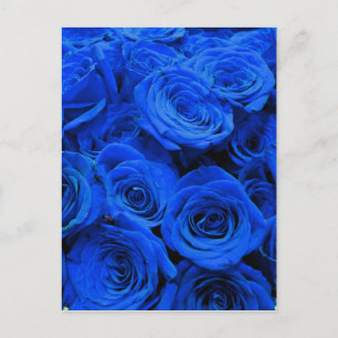 Blau blühende Blumen blauer Rose Postkarte