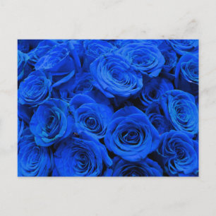 Blau blühende Blumen blauer Rose Postkarte