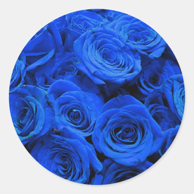 Blau blühende Blumen blauer Rose Runder Aufkleber (Vorderseite)
