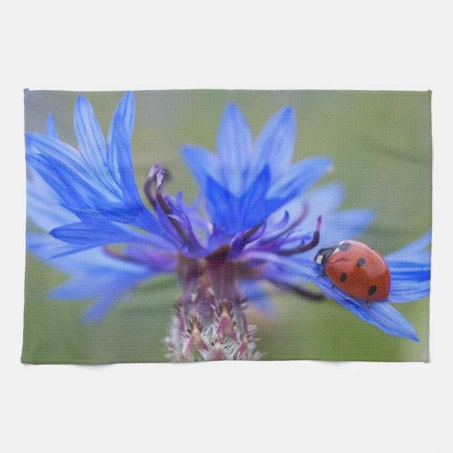 Blau blüht geschirrtuch (Horizontal)
