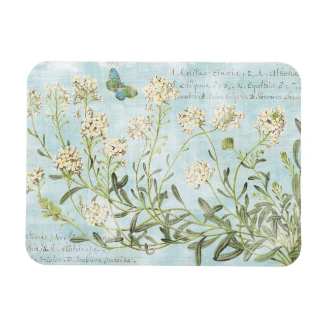 Blau botanisch magnet (Horizontal)